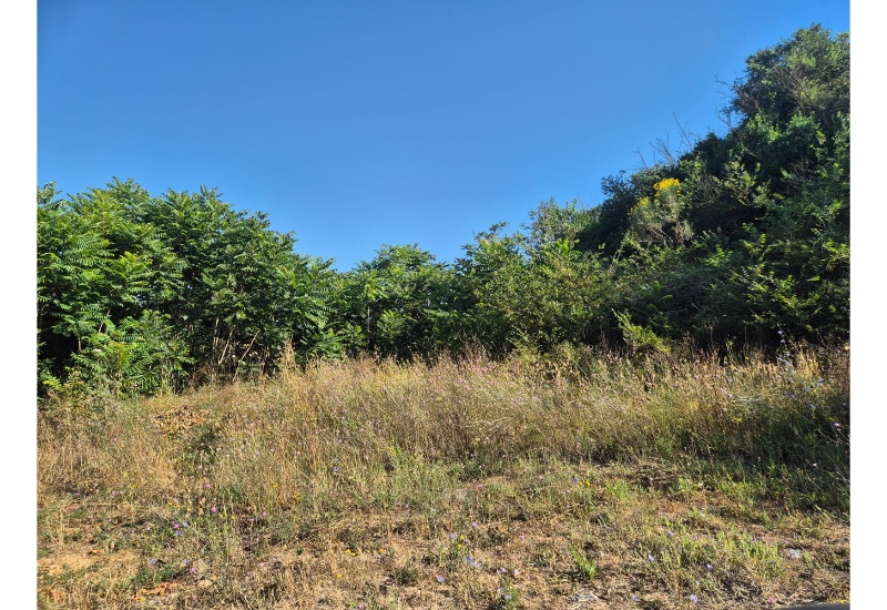 Boccea - Via Carezzano